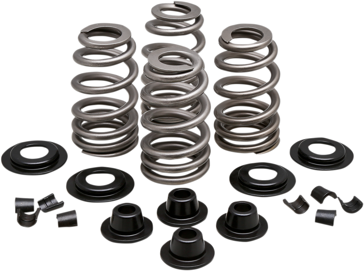 KIBBLEWHITE Spring Kit - .610" - Evolution/Twin Cam 20-21300