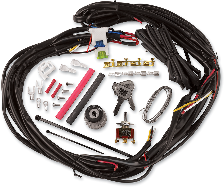 CYCLE VISIONS Custom Wire Harness CV-4869