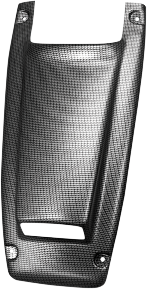 Capó MAIER - Fibra de carbono - Recogido - Con placa de matrícula 50968-30