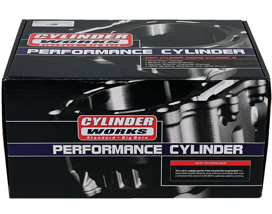 CYLINDER WORKS Cylinder - Standard Polaris RZR Turbo CW60008
