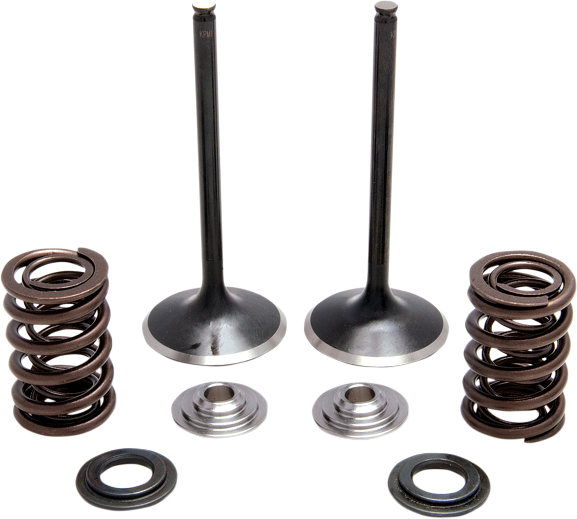 KIBBLEWHITE Spring Kit - Stainless Steel 30-31230