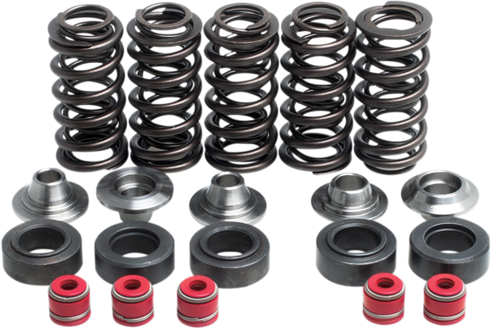 KIBBLEWHITE Valve Spring Kit 80-80100