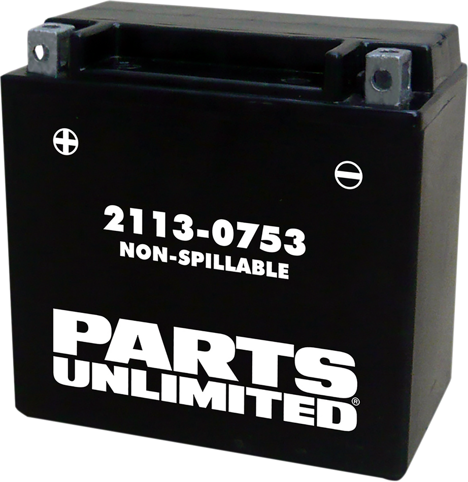 Parts Unlimited Agm Battery - Ytx14 Ctx14