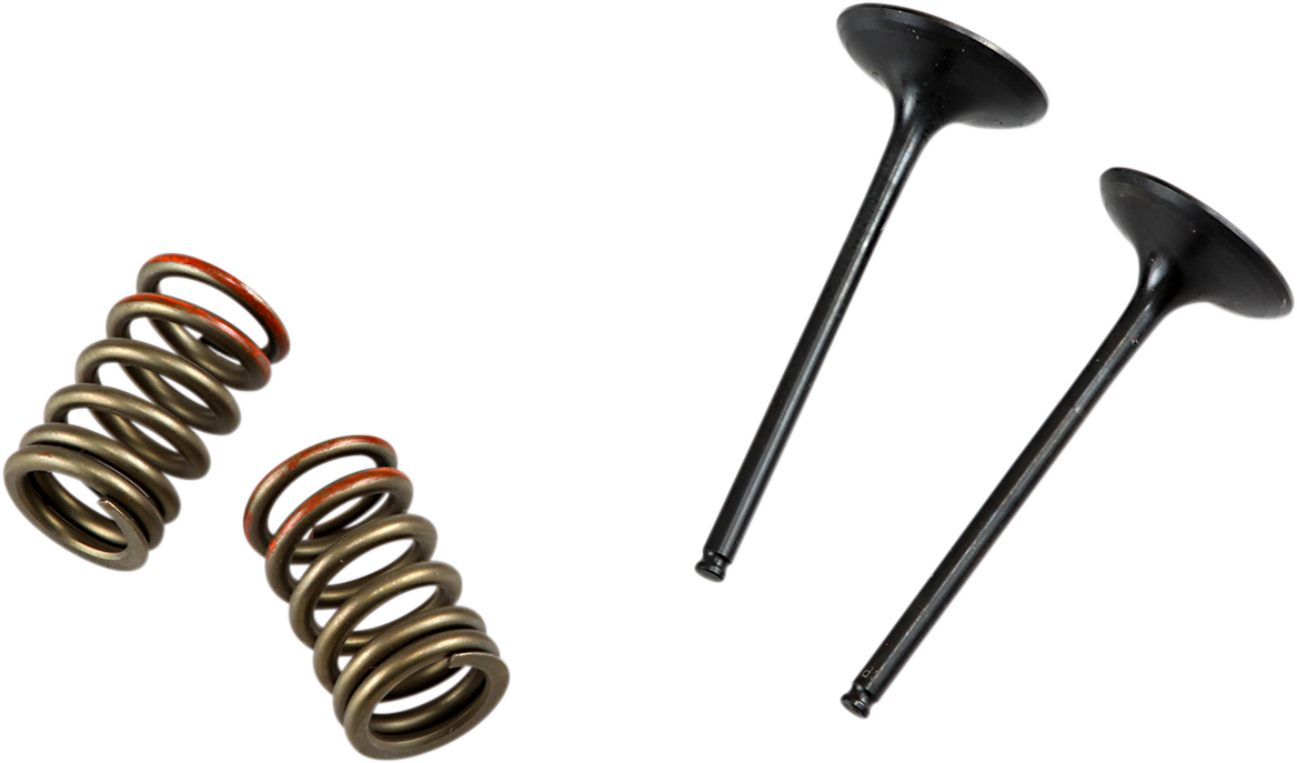 PROX Valve and Spring Kit 28.SIS4341-2