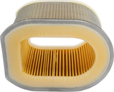 HIFLOFILTRO Air Filter - Kawasaki ZX800 '13-'16 HFA2802