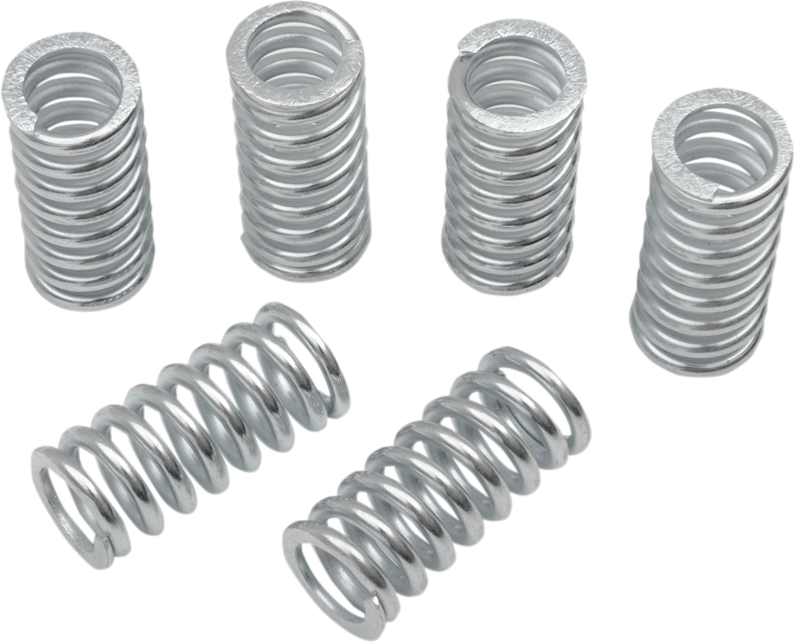 BELT DRIVES LTD. Clutch Springs - 6 Pack ECS-100