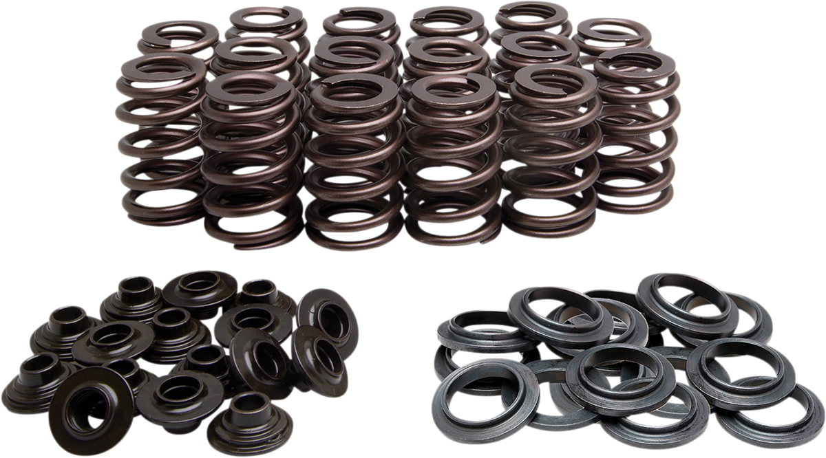 KIBBLEWHITE Beehive Valve Spring Kit 60-60950