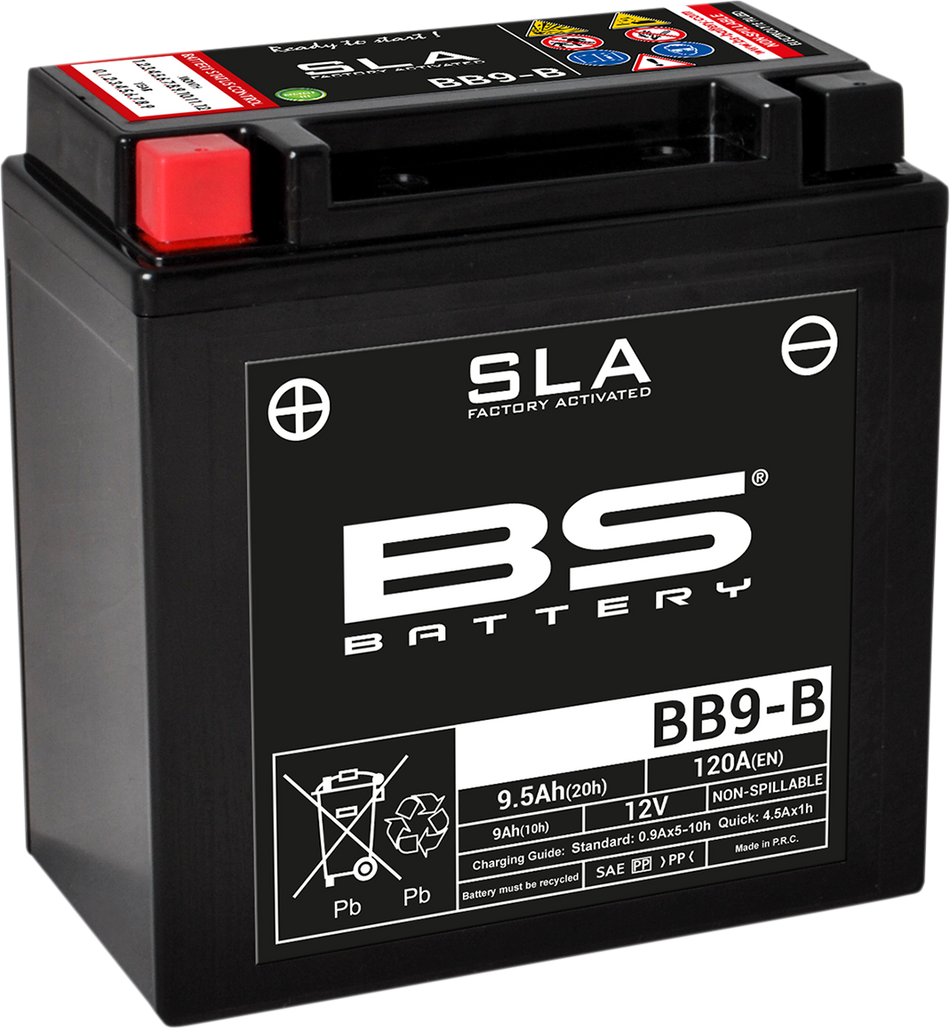 BS BATTERY Battery - BB9-B (YB) 300675
