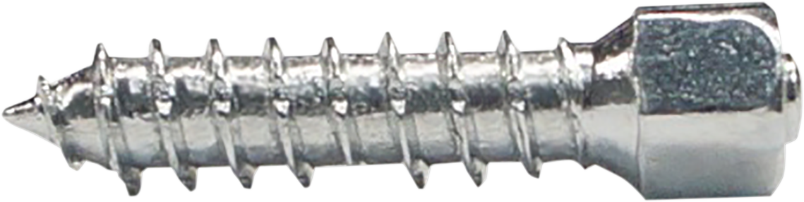 WOODY'S Twist Tire Screws - 25 mm - 100 Pack WST-0625-100