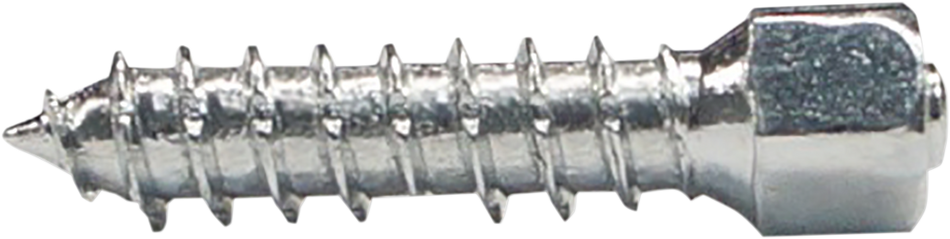 Tornillos para neumáticos WOODY'S Twist - 25 mm - Paquete de 500 WST-0625-500 