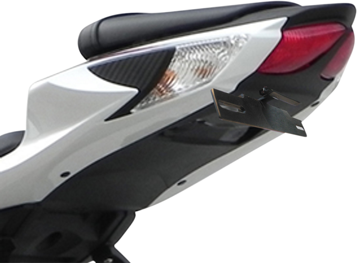 TARGA Heckkit mit Blinkern - GSXR STD '17-'18 22-373-L 