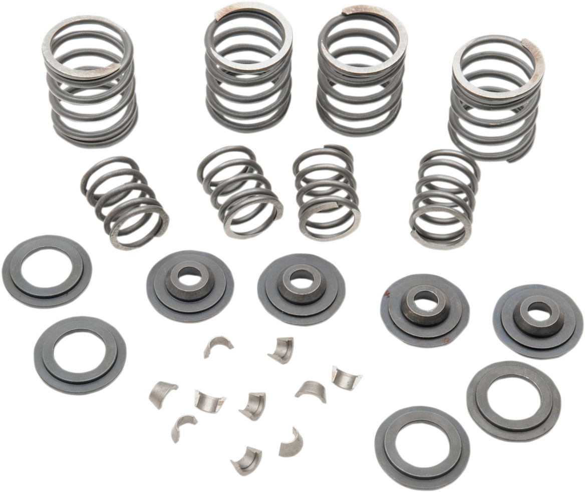 EASTERN MOTORCYCLE PARTS Valve Spring Kit - Big Twin 15-0024