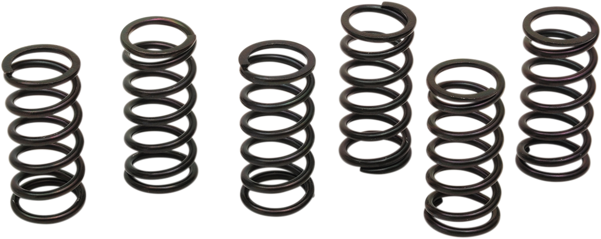 BARNETT Clutch Spring Kit 501-58-06121