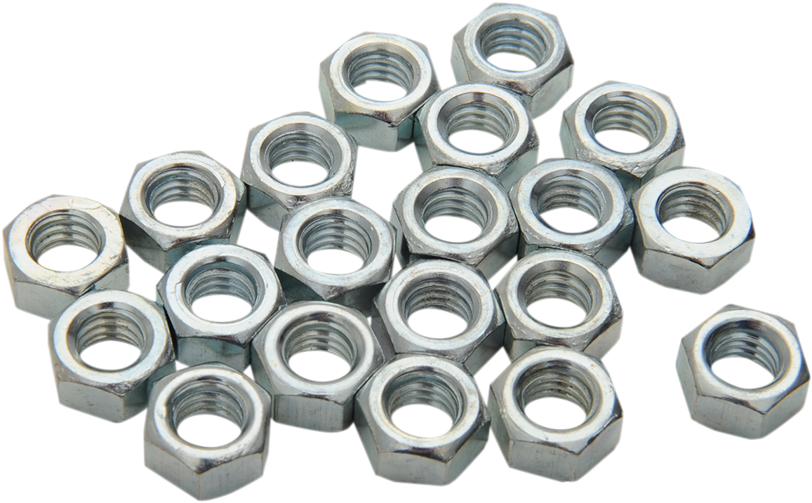 SNO STUFF Replacement Wear Bar Nuts - 5/16" SAE - 20 Pack 513-312