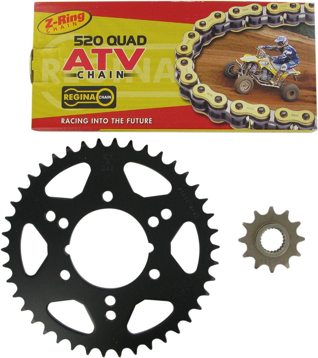 REGINA Chain and Sprocket Kit - Polaris - Trail Boss 250 - '95-'99/Trail Blazer 250 - '96-'99 5QUAD/088KPO001