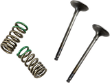 PROX Valve and Spring Kit 28.SES2402-1