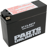 Parts Unlimited Agm Battery - Yt4b-Bs Ct4b-5