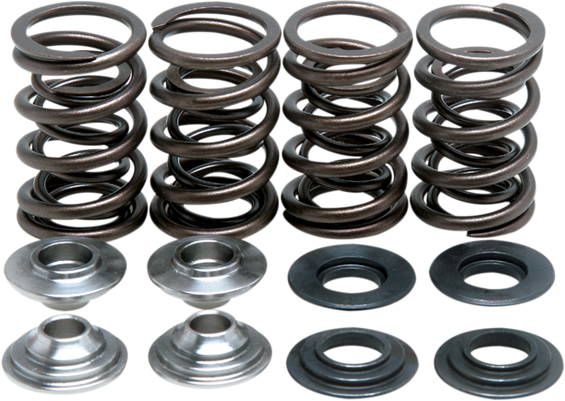 KIBBLEWHITE Valve Spring Kit 60-60045