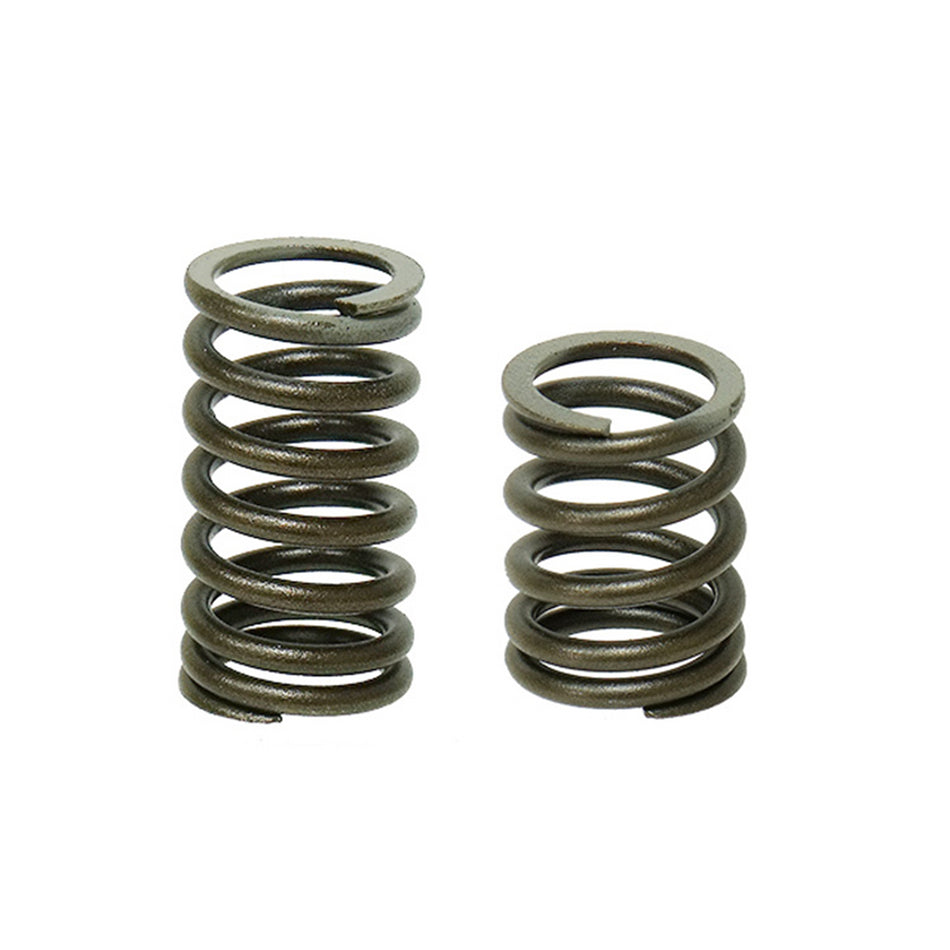 Bronco Products Intake And Exhaust Valve Springs 125661