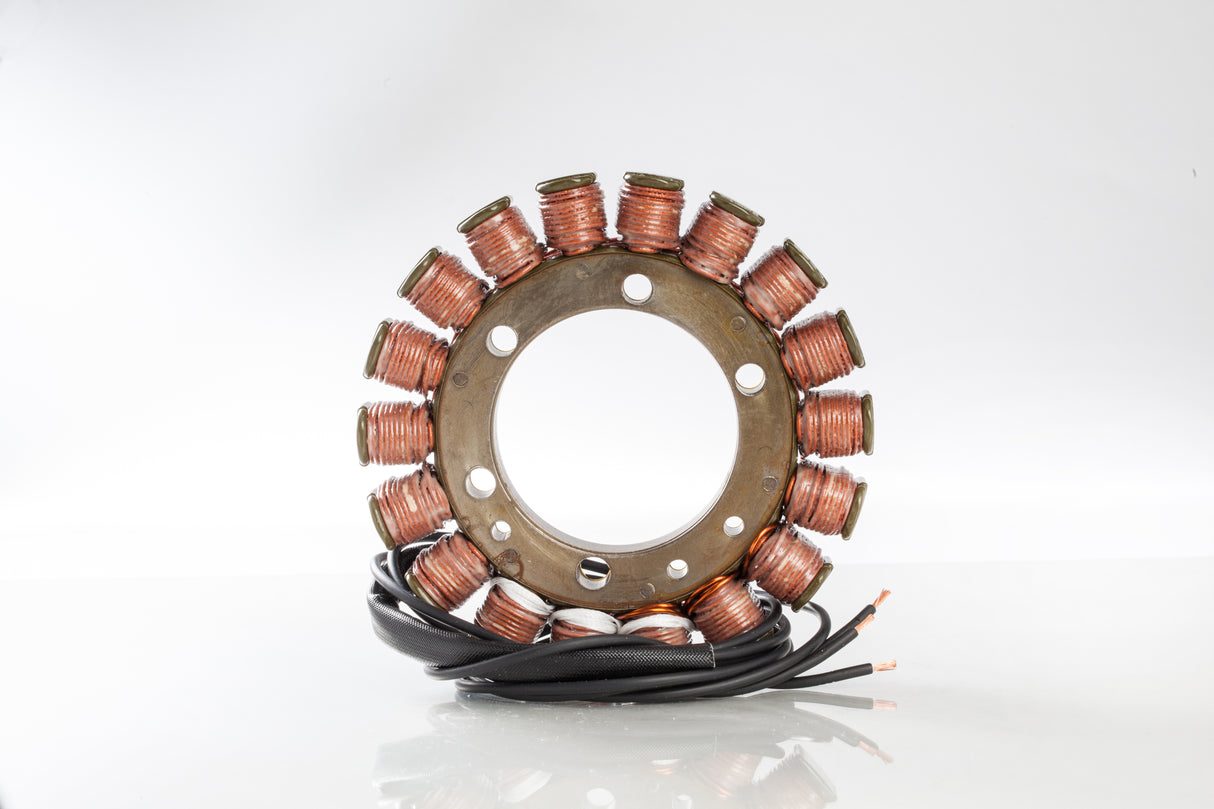 RICKS Stator 21-319