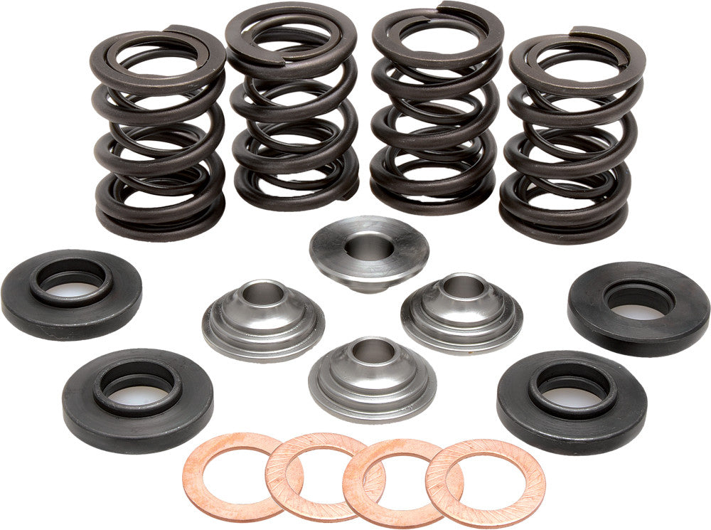 KPMIRacing Valve Spring Kit96-96000