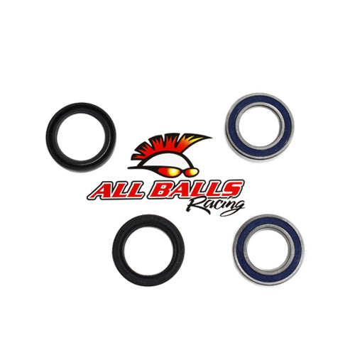All Balls Racing Rear Wheel Bearing Kit - Both Wheels AB251364