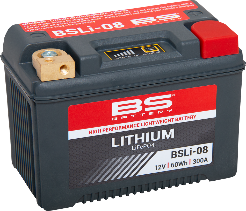 BS BATTERY Lithium Battery - BSLi-08 360108