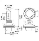 Hella Optilux H9 12V/100W XB Xenon White Bulb (pair) LAH71070792