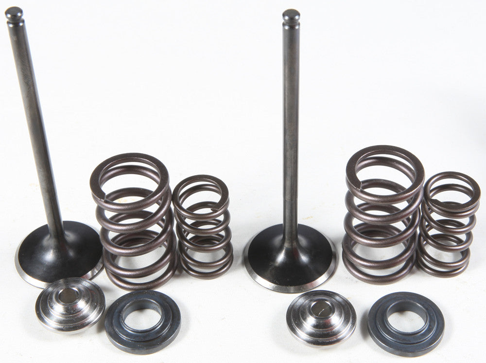 KPMIIntake Valve/Spring Kit Stainless Steel96-96130