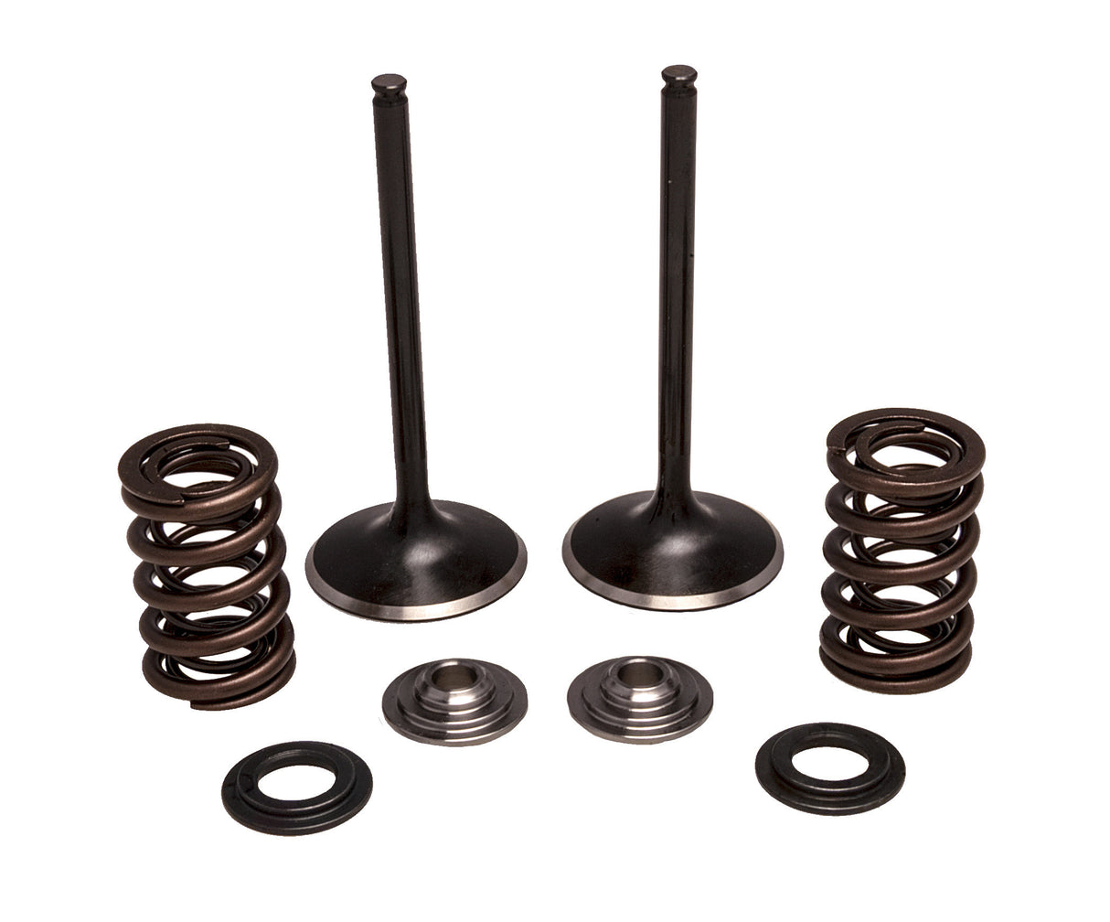 KPMIIntake Valve/Spring Kit Stainless Steel30-33200