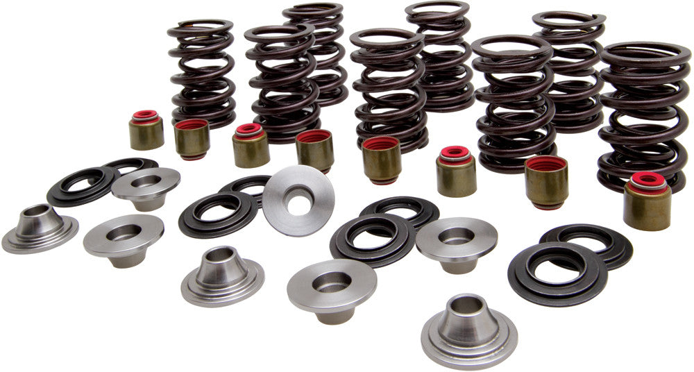 KPMIRacing Valve Spring Kit82-82350