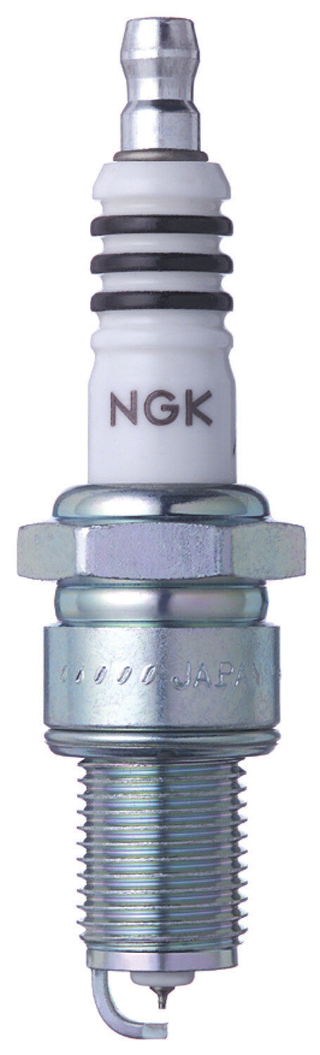 NGKSpark Plug #6597/046597