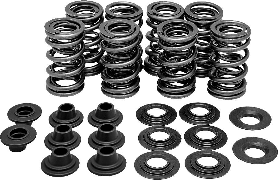 KPMIRacing Valve Spring Kit82-82700