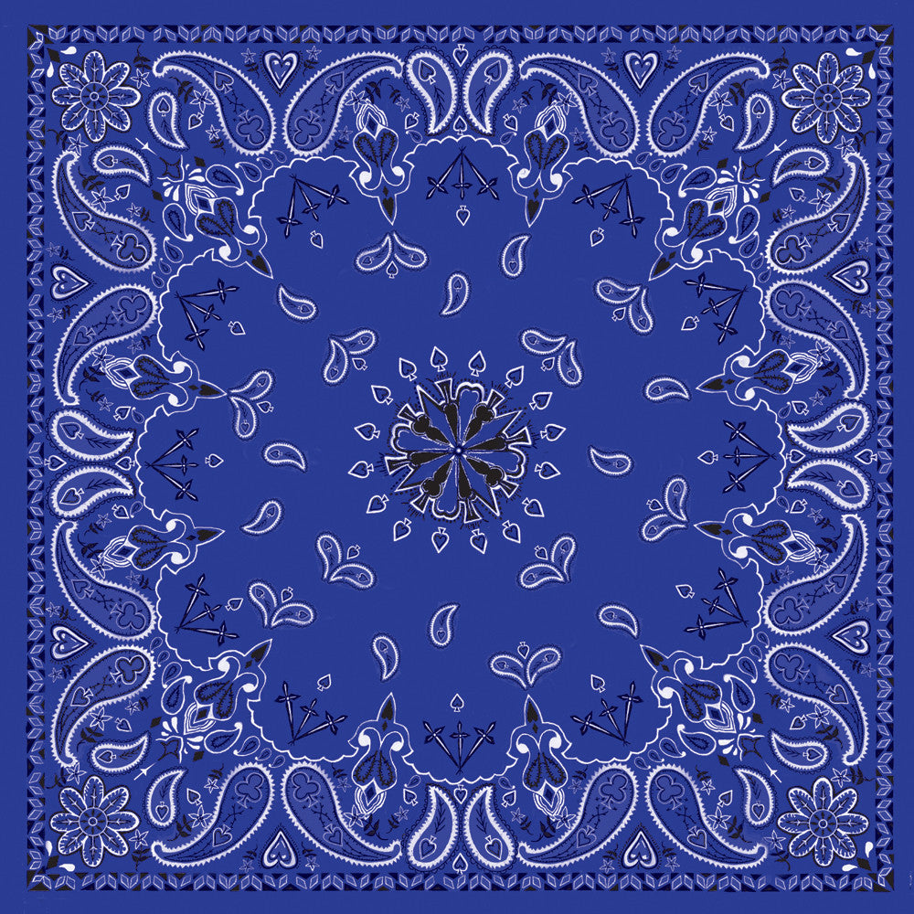 ZAN Bandanna Navy Paisley B002