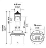 Hella Bulb 893 12V 375W Xen Wht Xb (2) LAH71071232