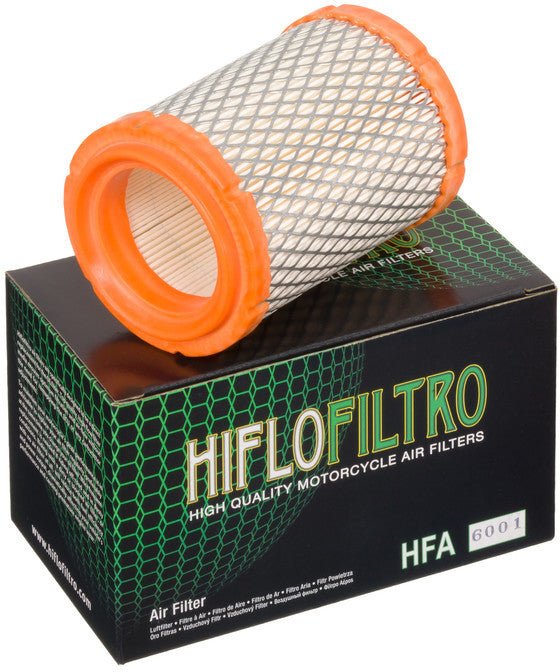 HIFLOFILTRO Air Filter HFA6001