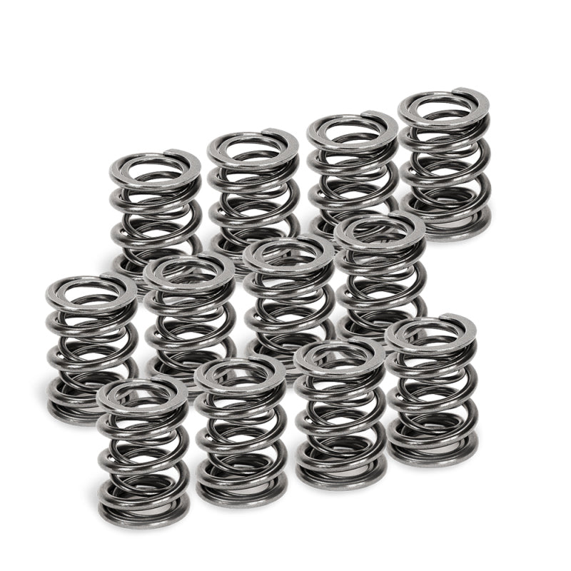 Supertech VW VR6 Dual Valve Spring - Set of 12 SPR-V2093-4-12